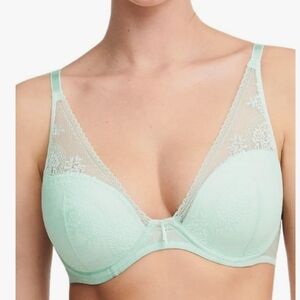 PASSIONATA by Chantelle, Mint Green Plunge Bra, Size US 38DDD/F